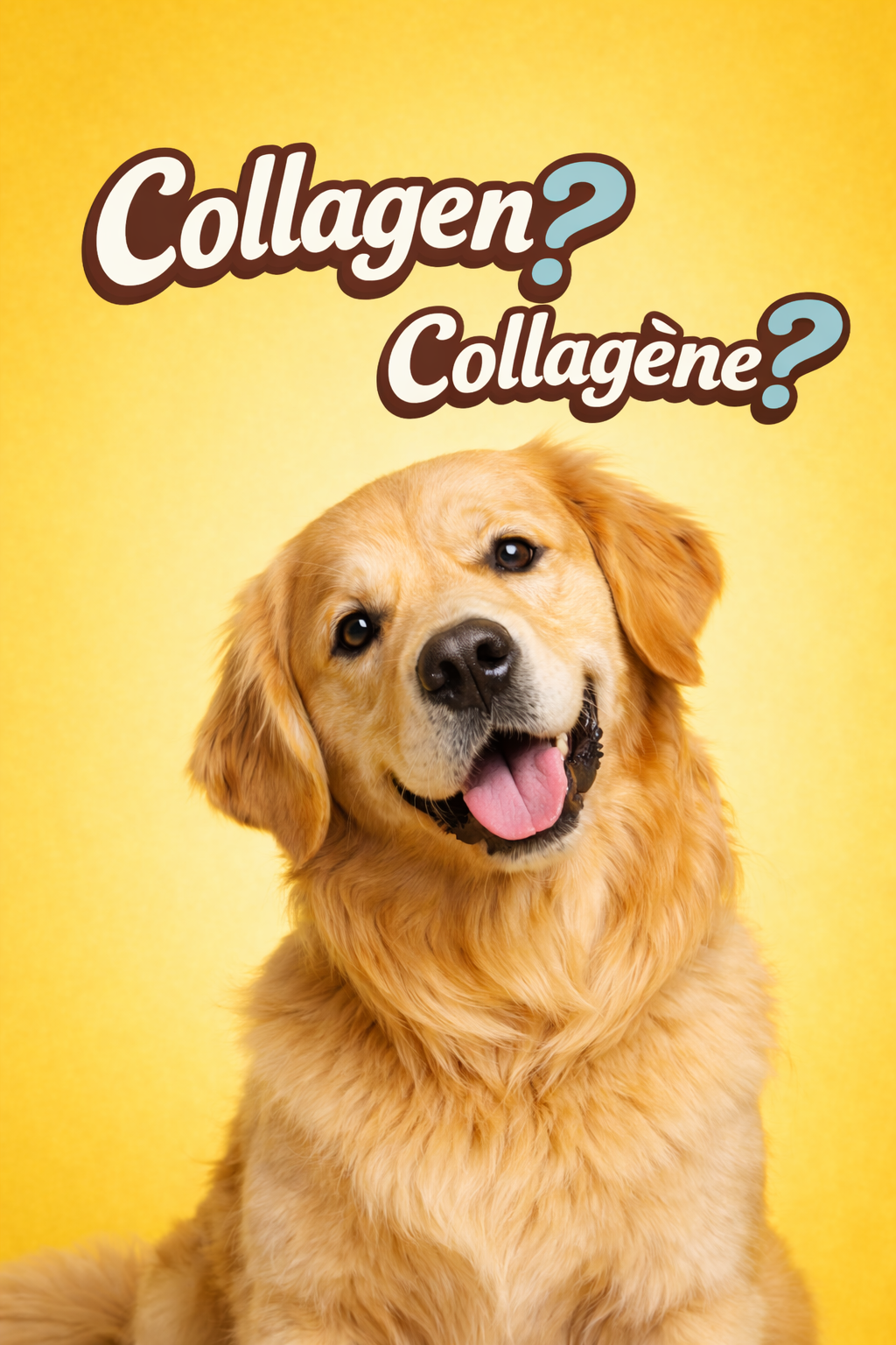 Collagen for Dogs Explained: Benefits, Bone Broth, and Smart Feeding Tips