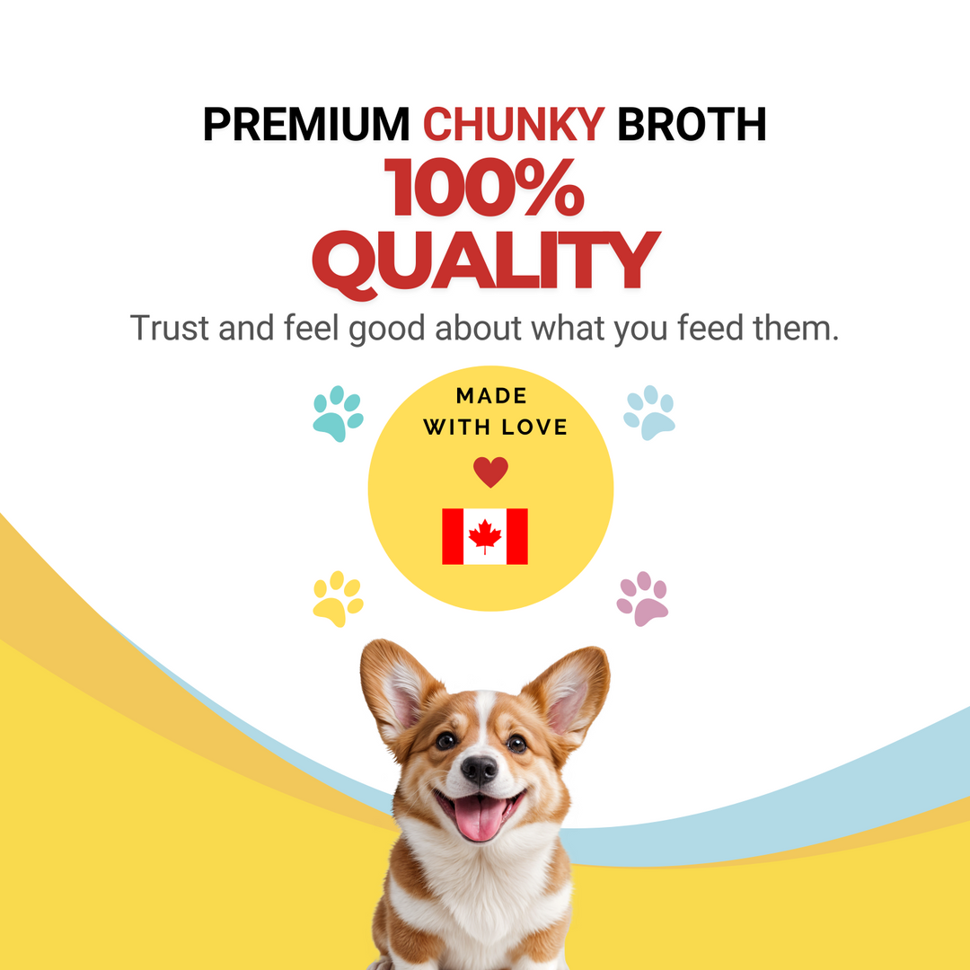 Details for premium chunky broth with a dog and Canadian flag on a white background
