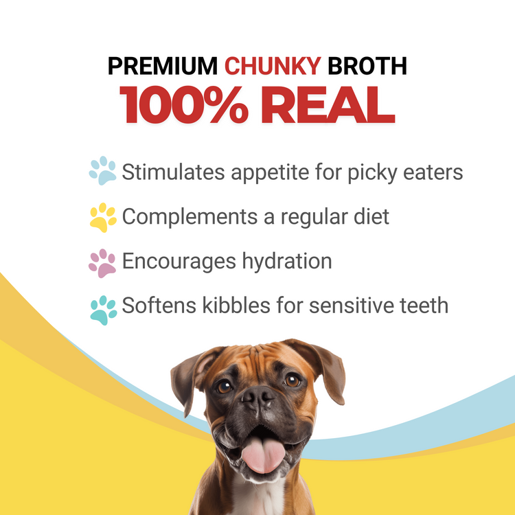 Details of premium broth with a dog and listed benefits on a colorful background