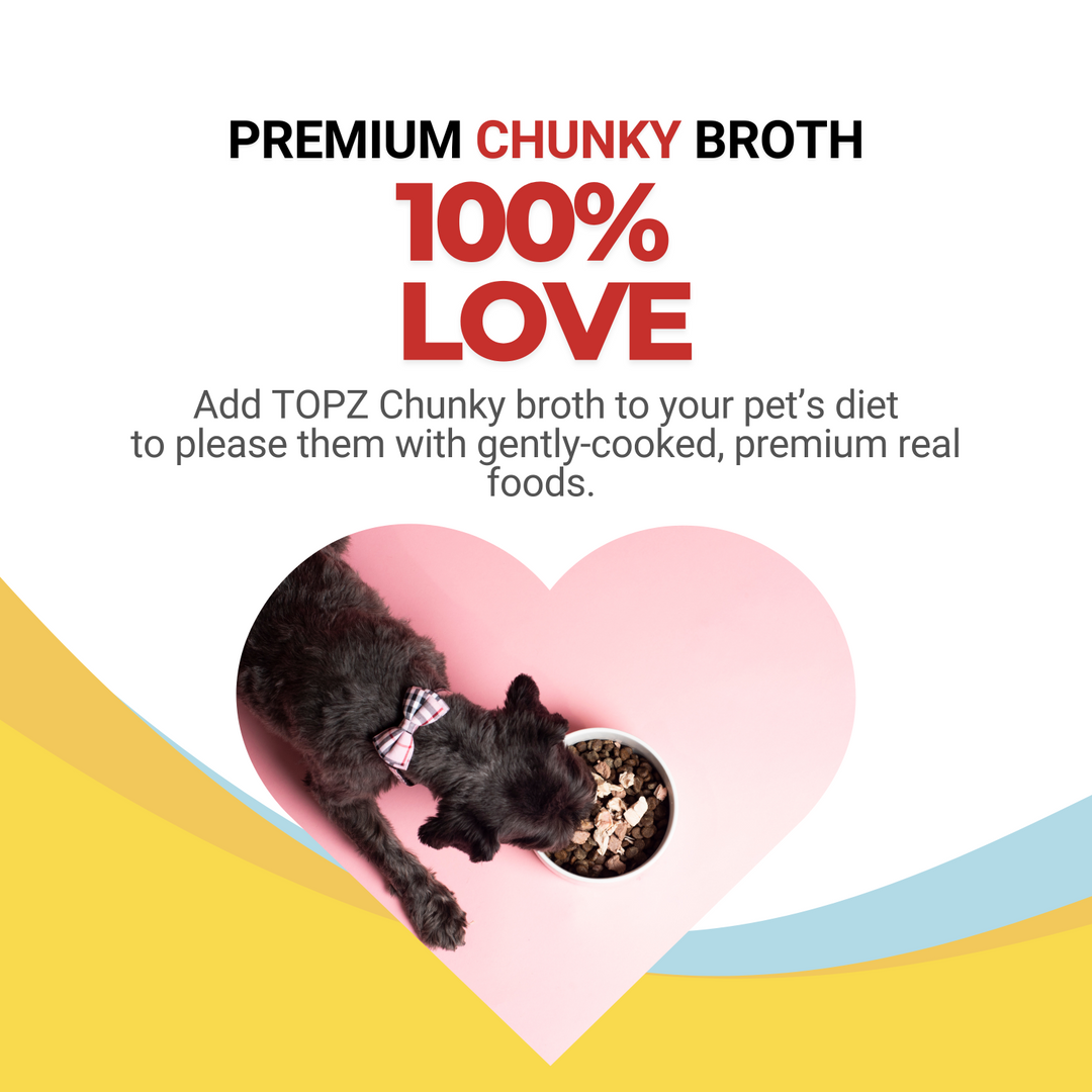 Dog lying on a pink heart-shaped cushion with a bowl of food, surrounded by promotional text for TOPZ Broth.