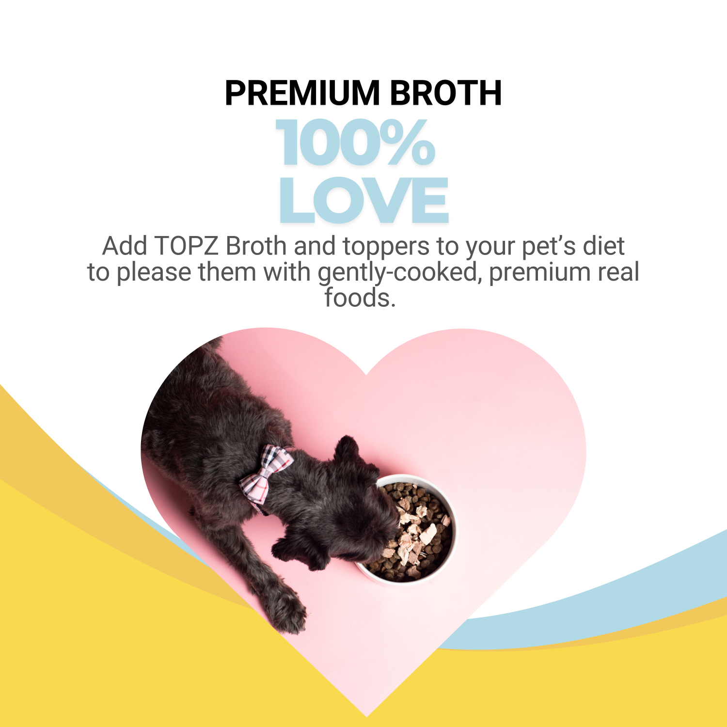 Dog lying on a pink heart-shaped cushion with a bowl of food, surrounded by promotional text for TOPZ broth and toppers.