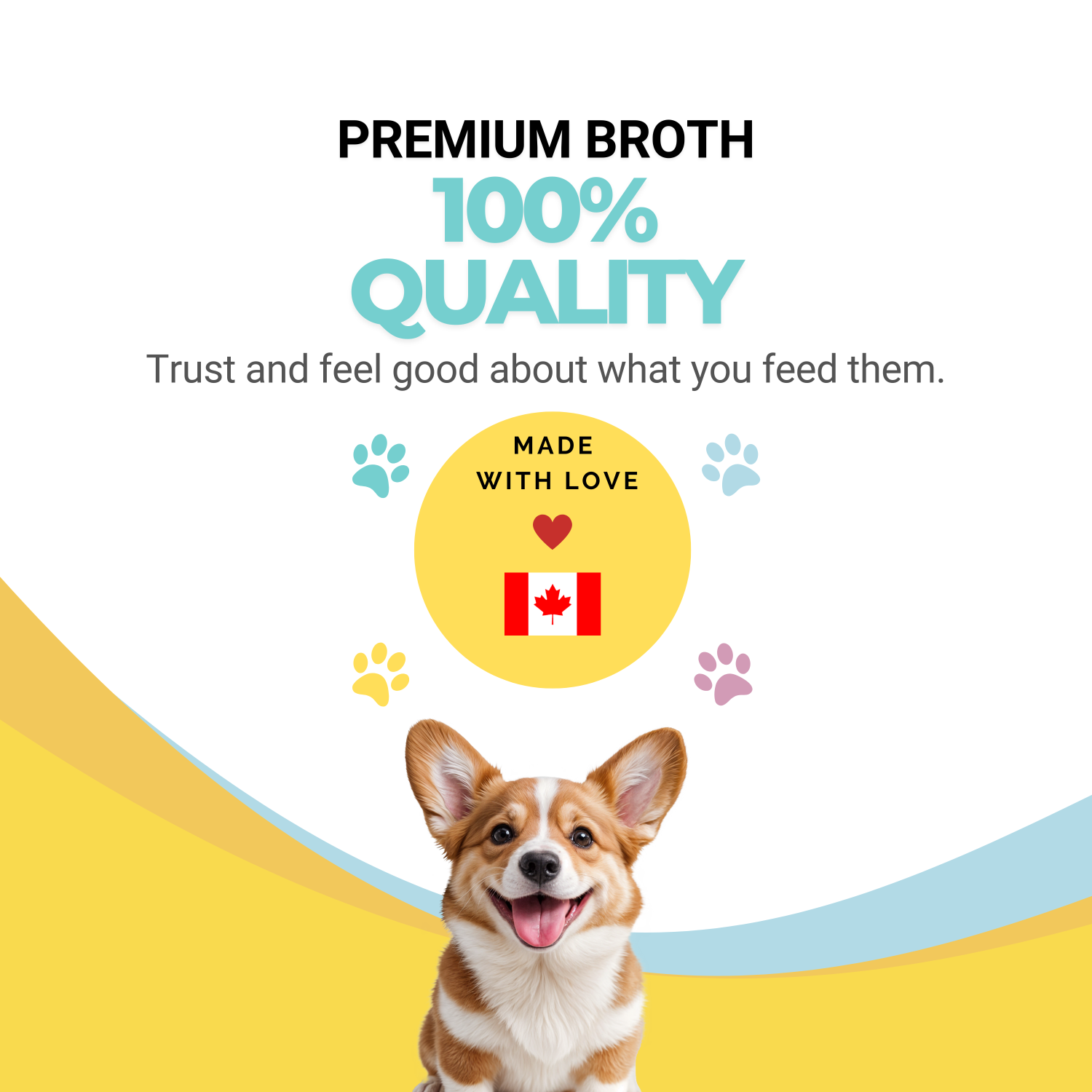 Slide showcasing made in canada