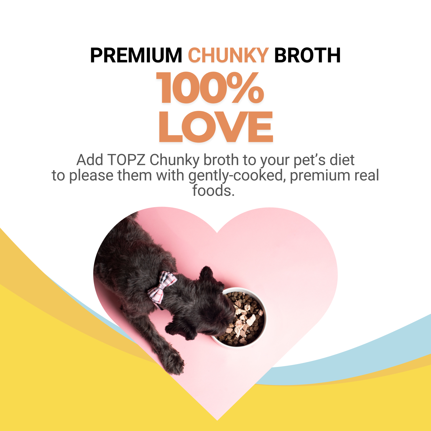 Love for dogs TOPZ Chunky broth with a black cat and text on a colorful background gently cooked