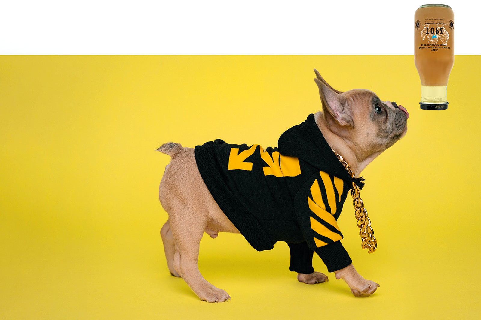 topz dog food premium meal toppers and treats chicken bone broth for dry kibble